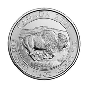 1.25 OZ CANADIAN SILVER BUFFALO - YEAR VARIES