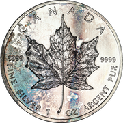 1 OZ CANADIAN SILVER MAPLE LEAF COIN/SECONDARY CONDITION