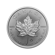 2025 1 OZ CANADIAN SILVER MAPLE LEAF