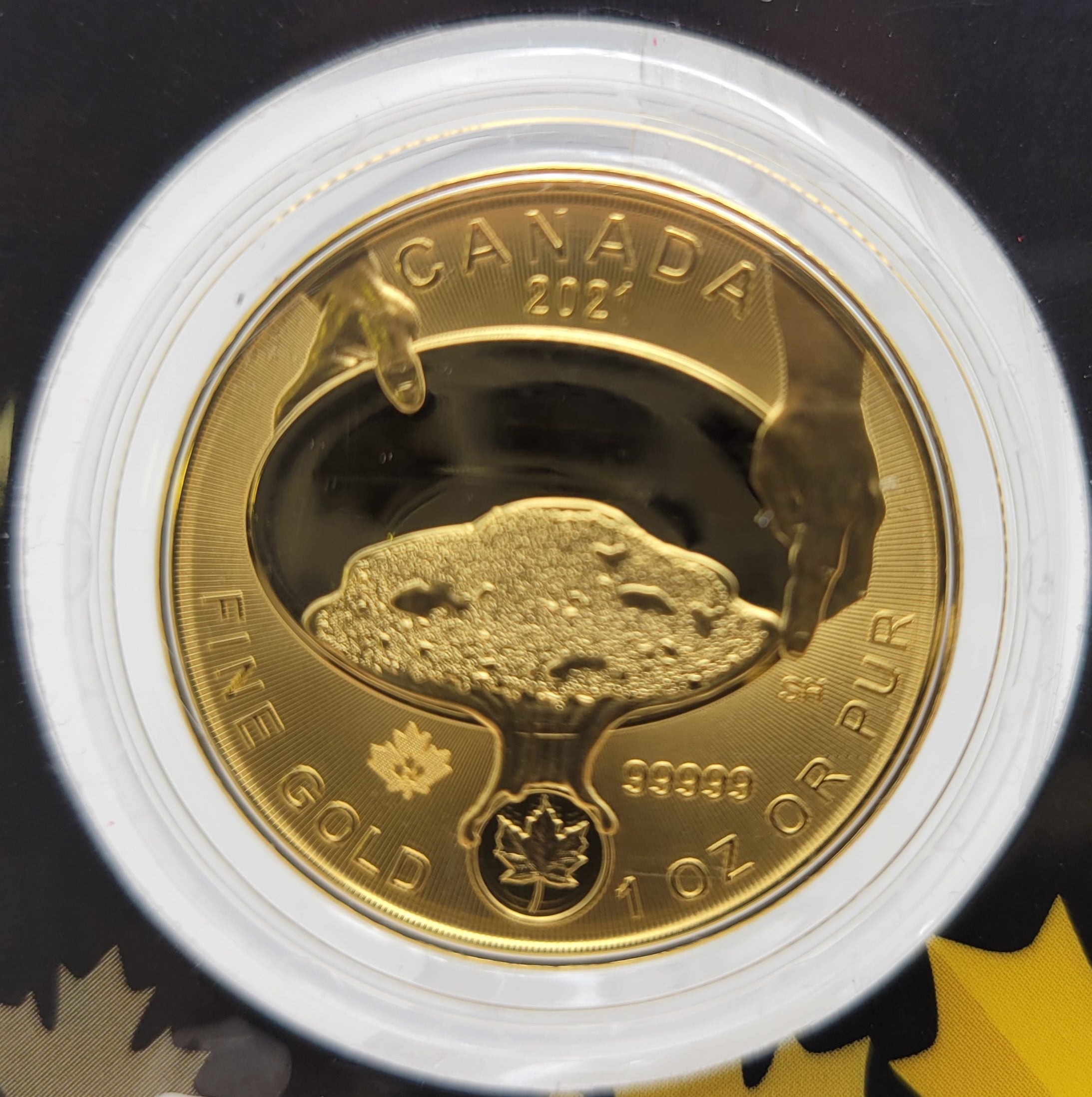 2021 Royal Canadian Mint GOLD PANNING 1 oz 99999 Gold Maple Coin