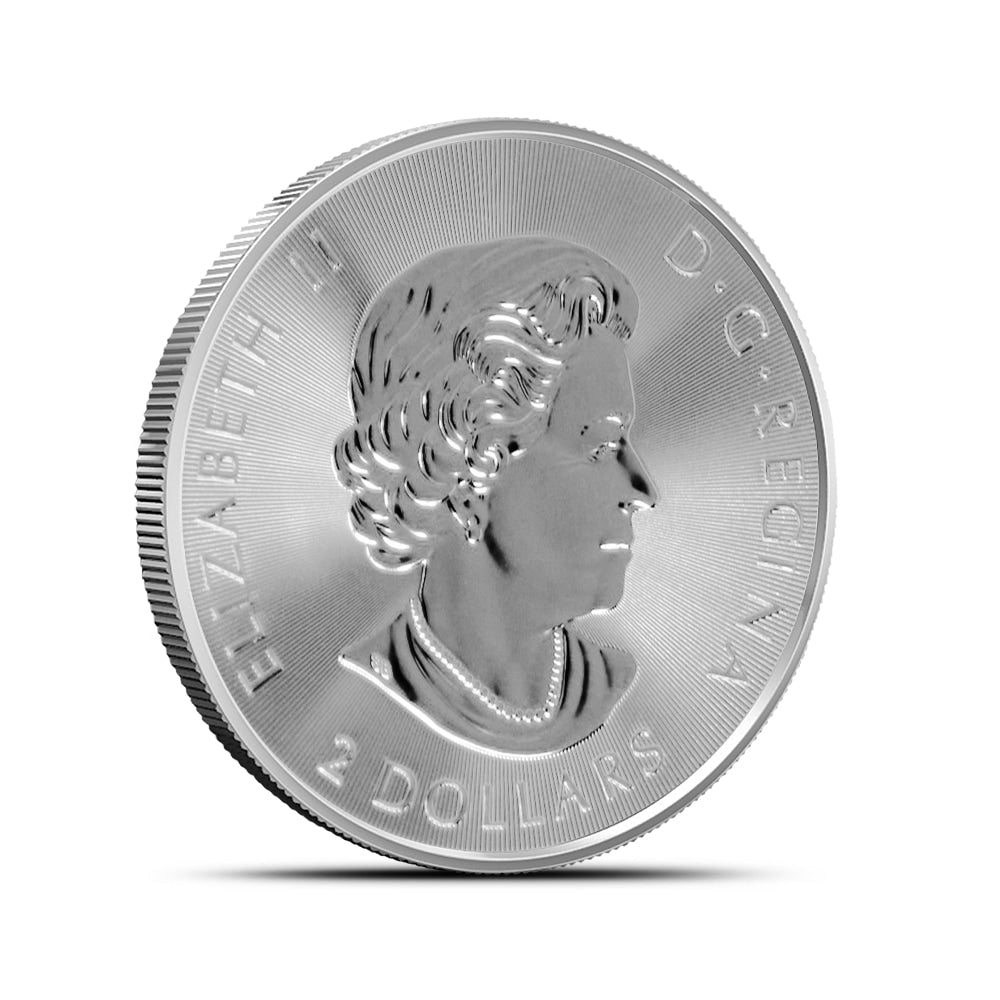 2019 1/2 oz Canadian Polar Bear 9999 Silver Coin